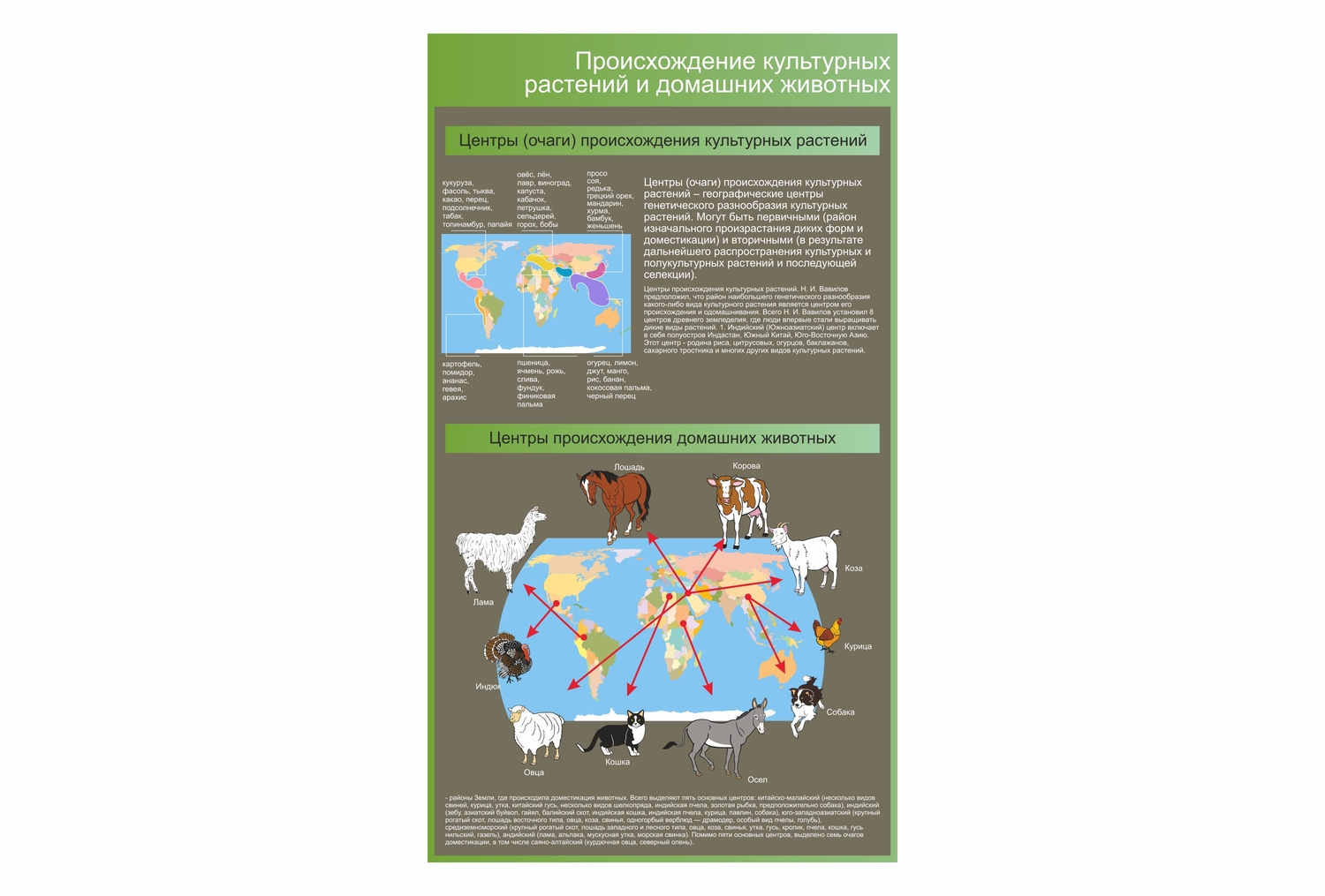 стенд происxождение культурныx растений и домашниx животныx